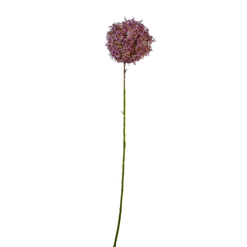 ALLIUM CM.65 LILLA ALLIUM CM.65 LILLA