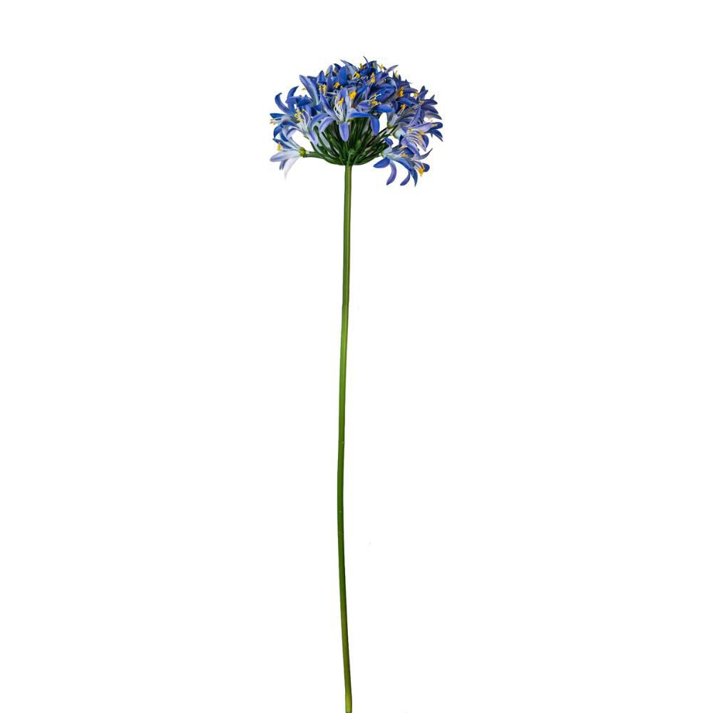 AGAPANTHUS CM.80 LAVANDA AGAPANTHUS CM.80 LAVANDA