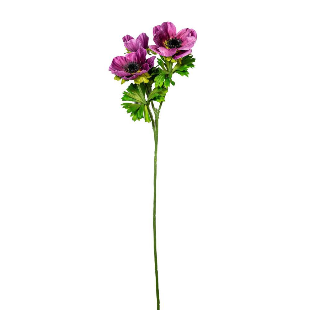 ANEMONE SPRAY 3X CM.55 PURPLE ANEMONE SPRAY 3X CM.55 PURPLE
