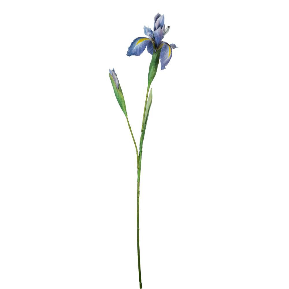IRIS 1F CM.80 BLU IRIS 1F CM.80 BLU