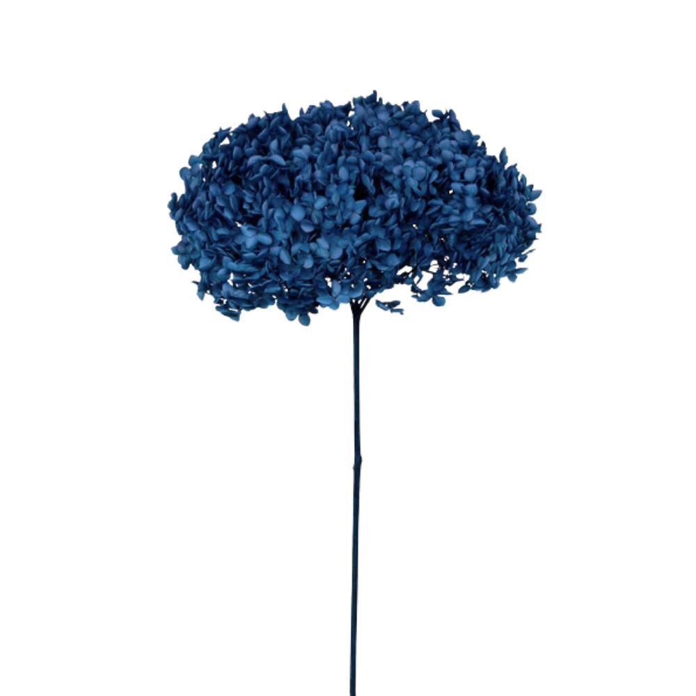 HYDRANGEA STABILIZZATA CM.52 -ANNABELLE NAVY BLUE- BLU