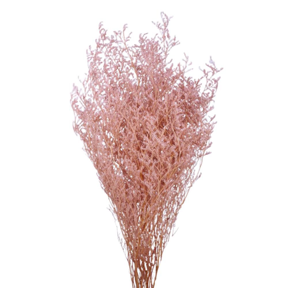 LIMONIUM STABILIZZATO 80GR. CM.70 ROSA CHIARO LIMONIUM STABILIZZATO 80GR. CM.70 ROSA CHIARO