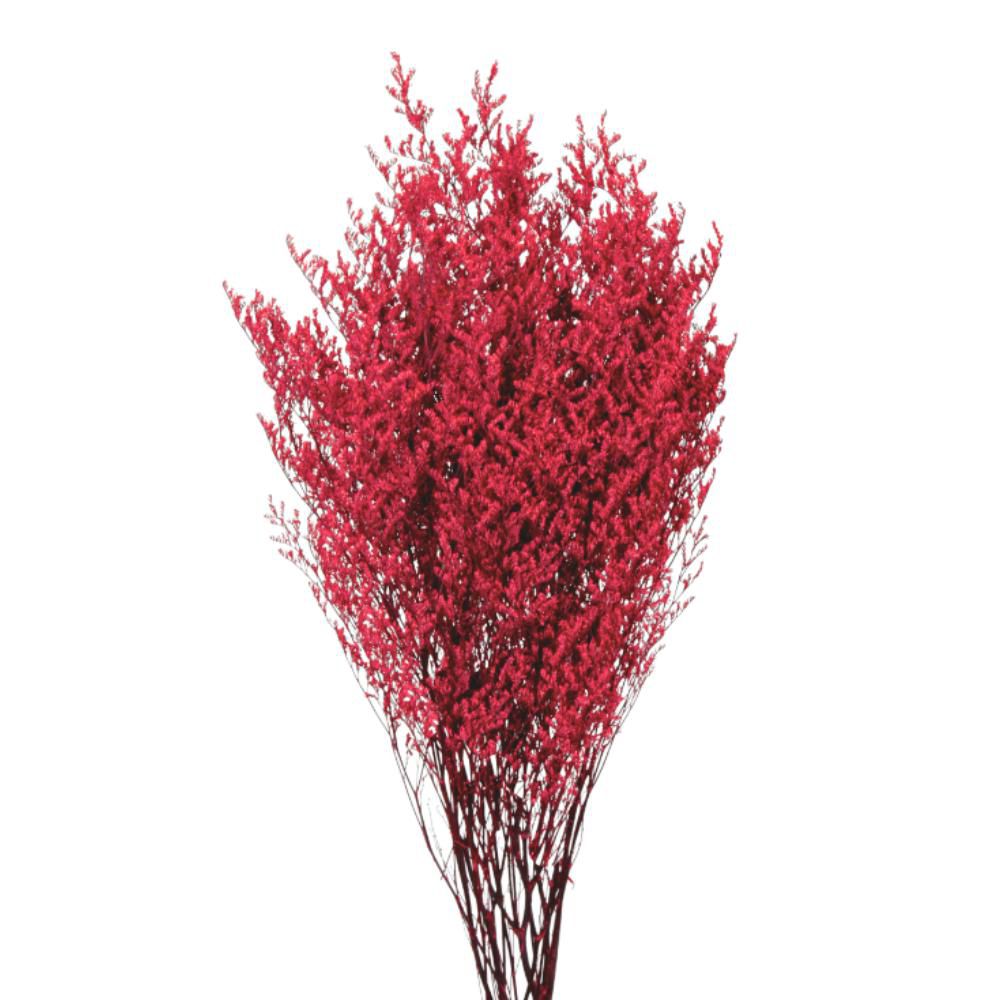 LIMONIUM STABILIZZATO 80GR. CM.70 BURGUNDY LIMONIUM STABILIZZATO 80GR. CM.70 BURGUNDY