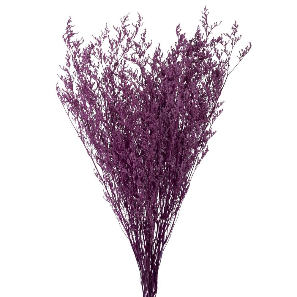 LIMONIUM STABILIZZATO 80GR. CM.70 VIOLA LIMONIUM STABILIZZATO 80GR. CM.70 VIOLA