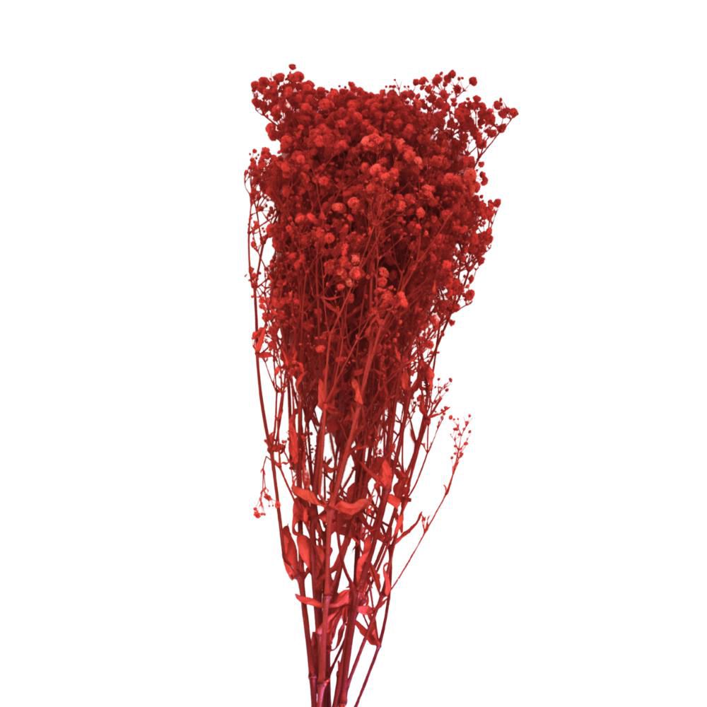 GYPSOPHILA STABILIZZATAGR.120 CM.75 ROSSO GYPSOPHILA STABILIZZATAGR.120 CM.75 ROSSO