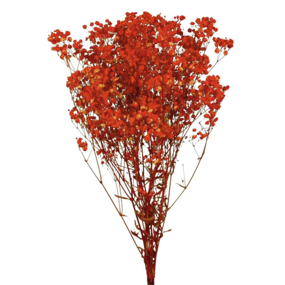 GYPSOPHILA STABILIZZATAGR.120 CM.75 ARANCIONE GYPSOPHILA STABILIZZATAGR.120 CM.75 ARANCIONE