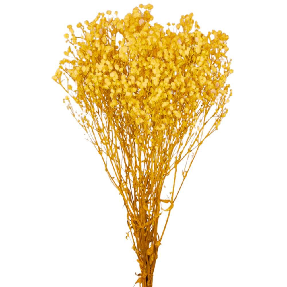 GYPSOPHILA STABILIZZATAGR.120 CM.75 GIALLO