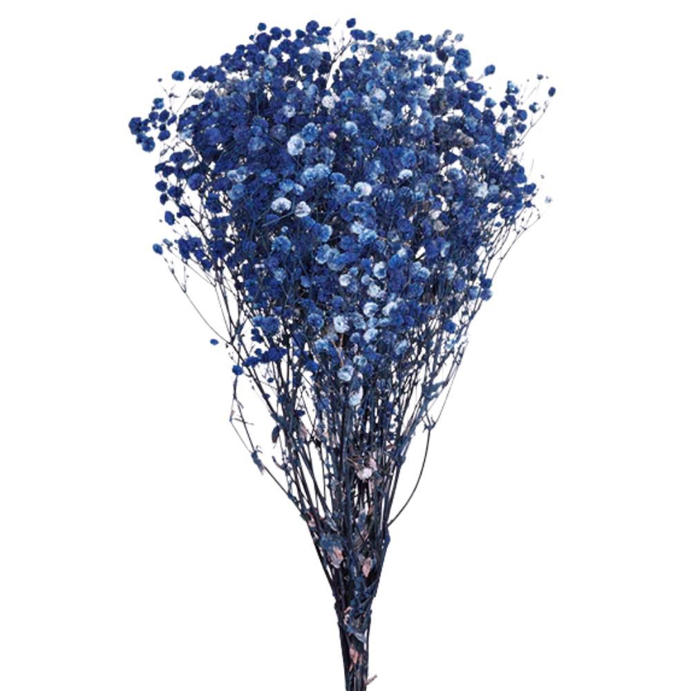 GYPSOPHILA STABILIZZATAGR.120 CM.75 BLU GYPSOPHILA STABILIZZATAGR.120 CM.75 BLU