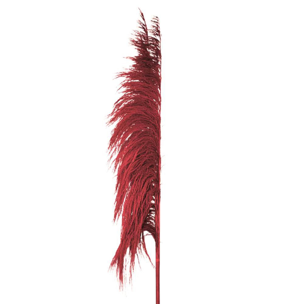 PAMPAS MAZZO 5 PZ. CM.120 ROSSO PAMPAS MAZZO 5 PZ. CM.120 ROSSO