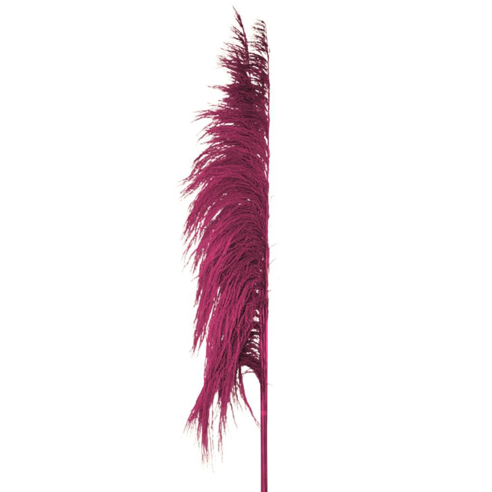 PAMPAS MAZZO 5 PZ. CM.120 MAGENTA PAMPAS MAZZO 5 PZ. CM.120 MAGENTA