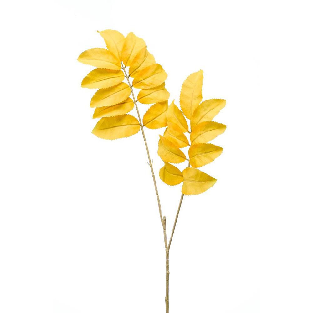 MELIANTHUS SPRAY CM.95 GIALLO