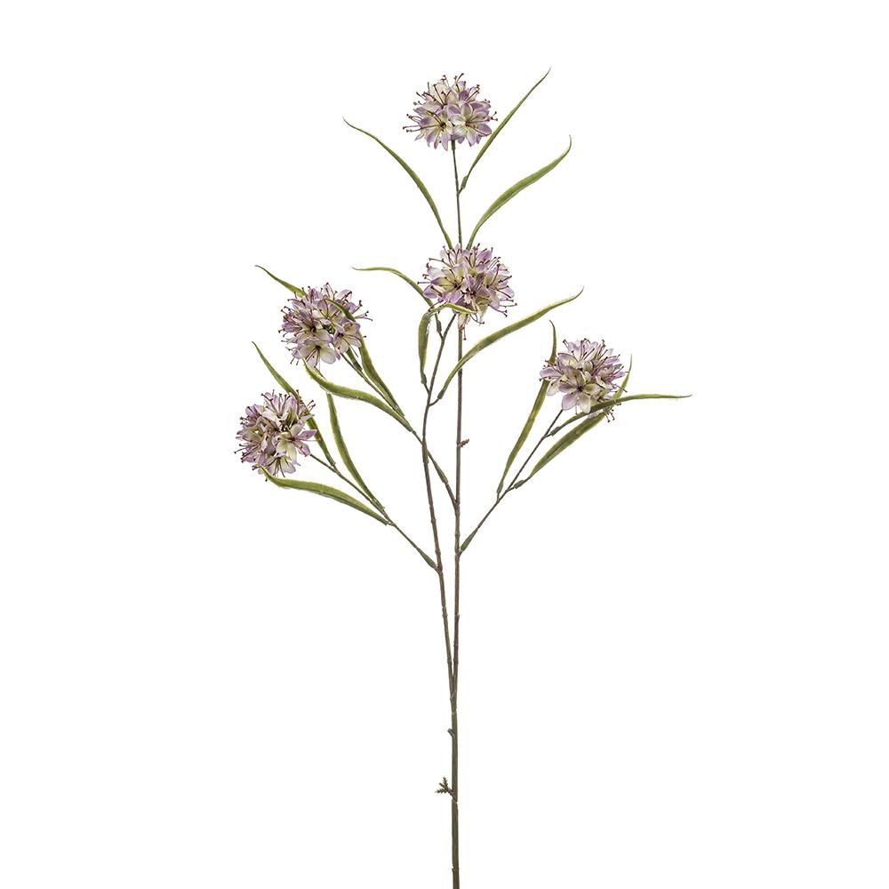 ALLIUM MULTI FLOWER SPRAY CM.86 GLICINE