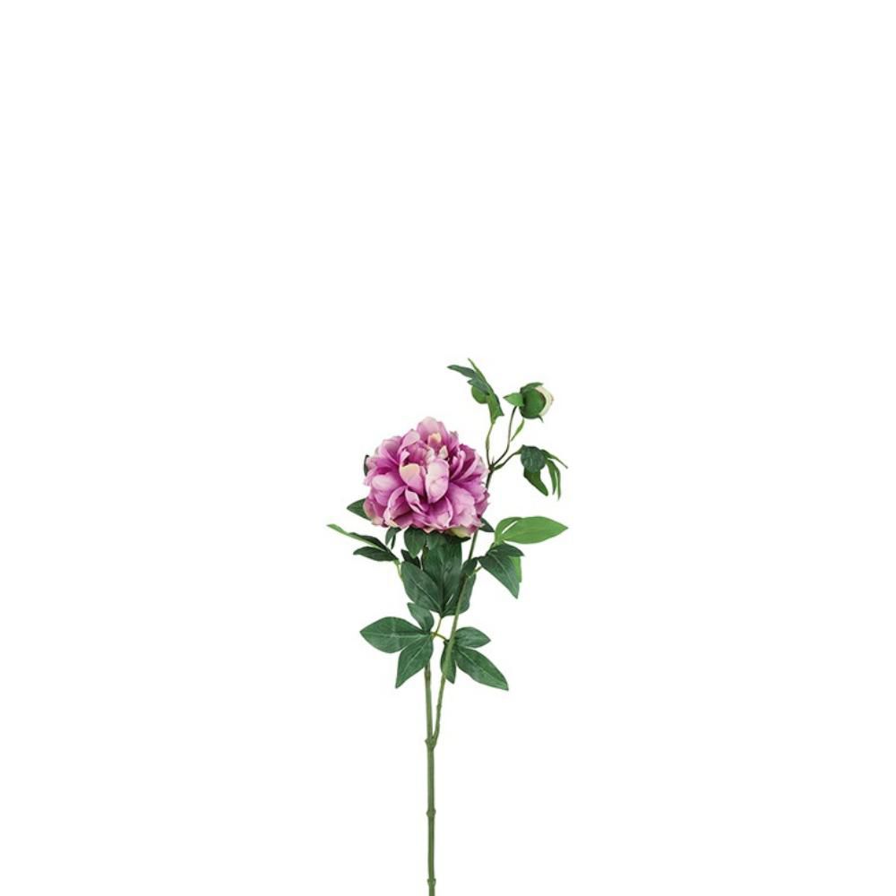 PEONIA SPRAY 1F 1B CM.68 PURPLE PEONIA SPRAY 1F 1B CM.68 PURPLE