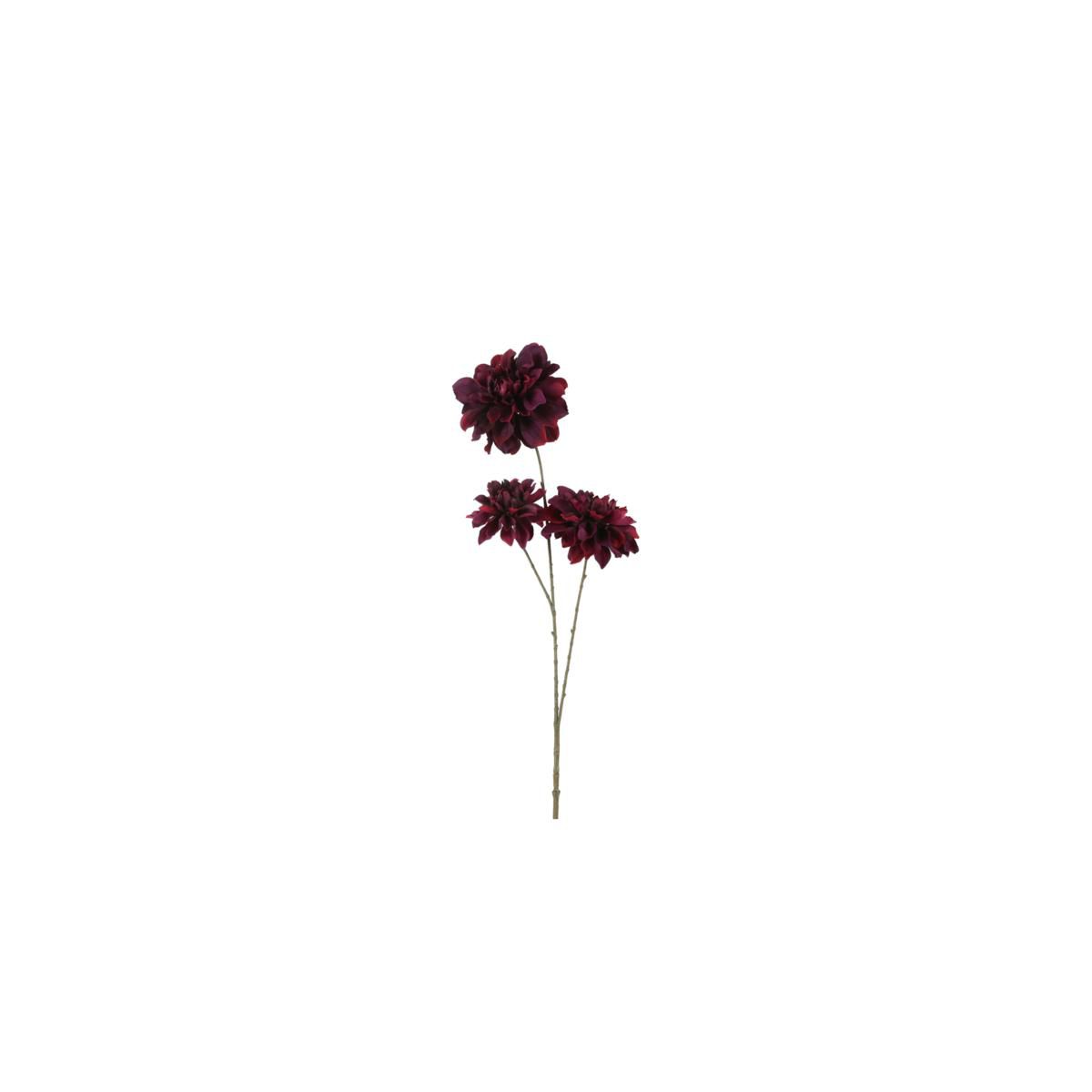 DALIA RAMO 3F CM.89 PURPLE