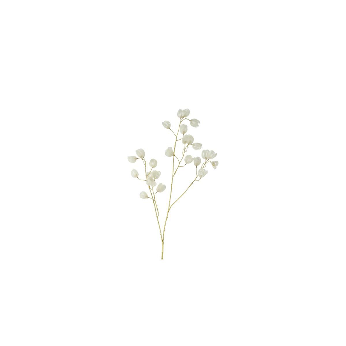 CAMPANULA RAMO CM.104 -ABUTILON S- BIANCO CAMPANULA RAMO CM.104 -ABUTILON S- BIANCO