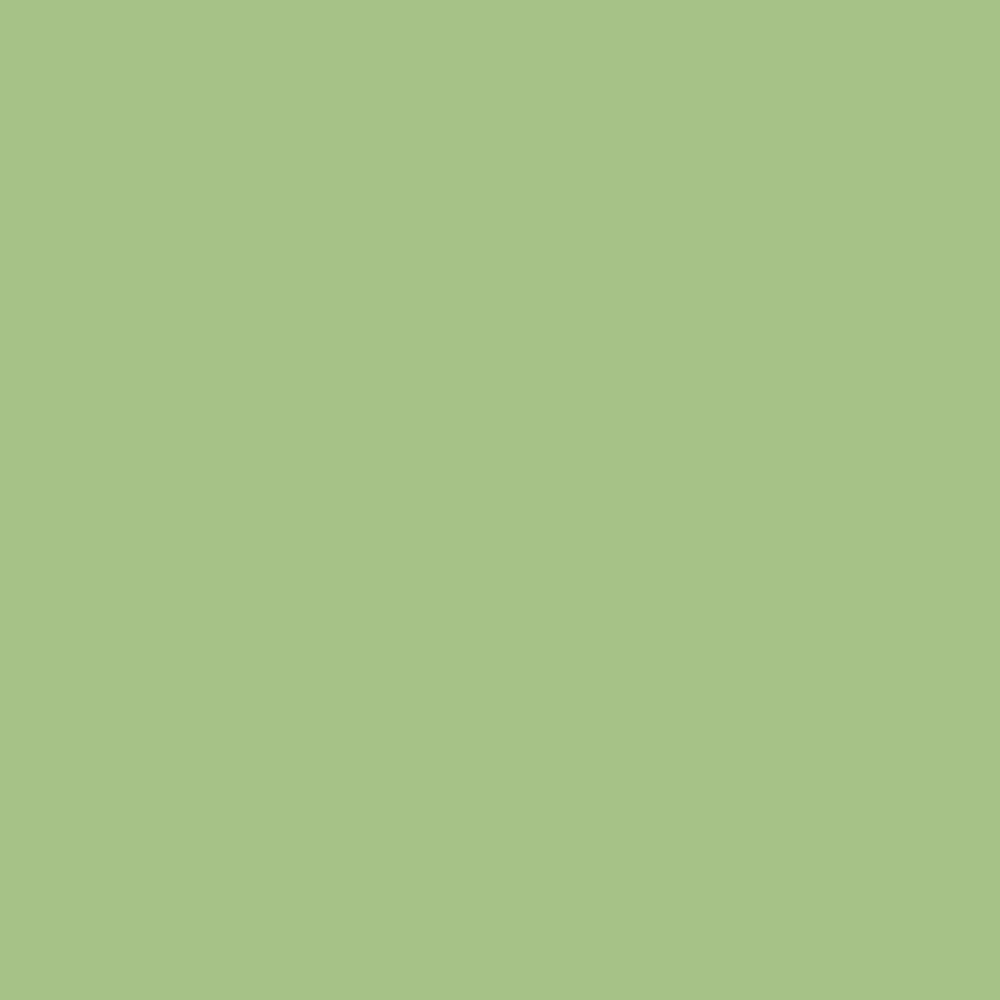 BOBINA PPL -GLAMOUR- CM100X20 MT VERDE BOBINA PPL -GLAMOUR- CM100X20 MT VERDE