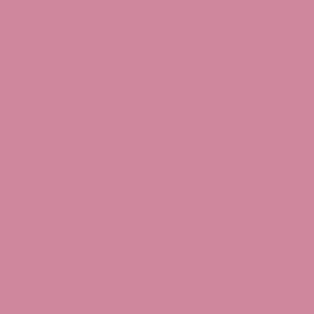 BOBINA PPL -GLAMOUR- CM100X20 MT ROSA BOBINA PPL -GLAMOUR- CM100X20 MT ROSA