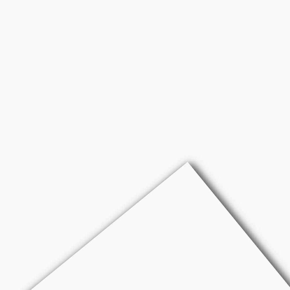 BOBINA PPL -VELVET- CM 100X20 MT 60MY BIANCO