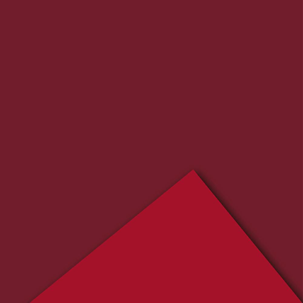 BOBINA PPL -VELVET- CM 100X20 MT 60MY ROSSO BOBINA PPL -VELVET- CM 100X20 MT 60MY ROSSO