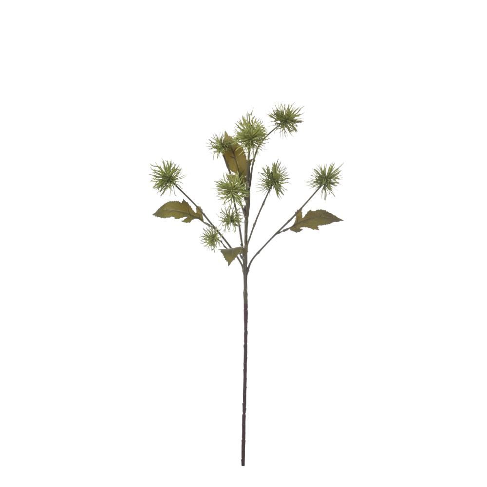 XANTHIUM 10X CM. VERDE