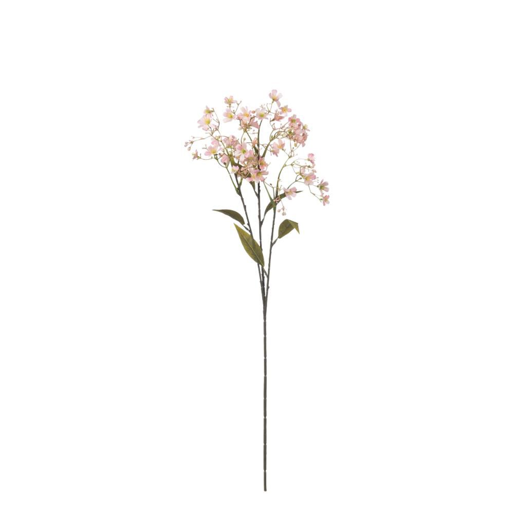 RAMO DAPHNE 3X CM. ROSA