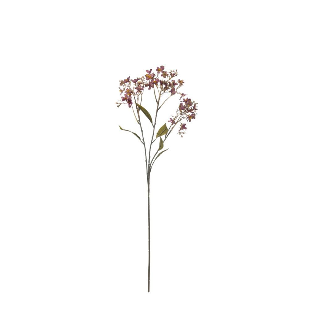 RAMO DAPHNE 3X CM. MALVA