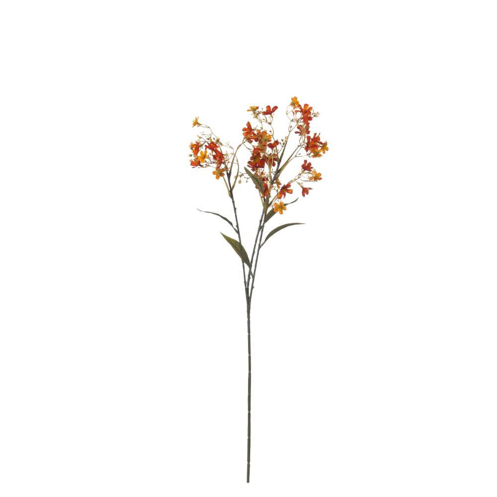 RAMO DAPHNE 3X CM. ARANCIONE