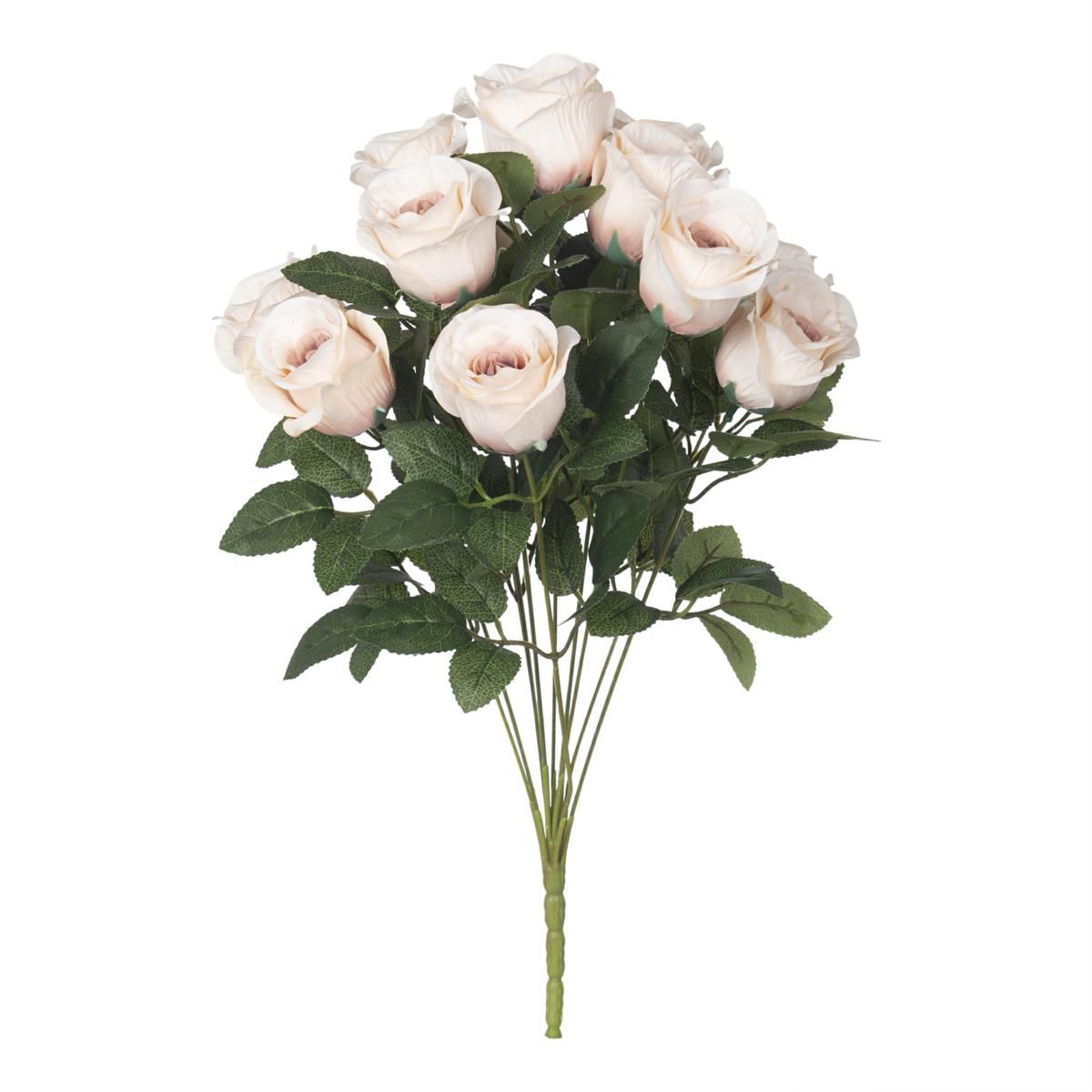 ROSE BOCCIOLI BOUQUET 12X CM.50 BEAUTY