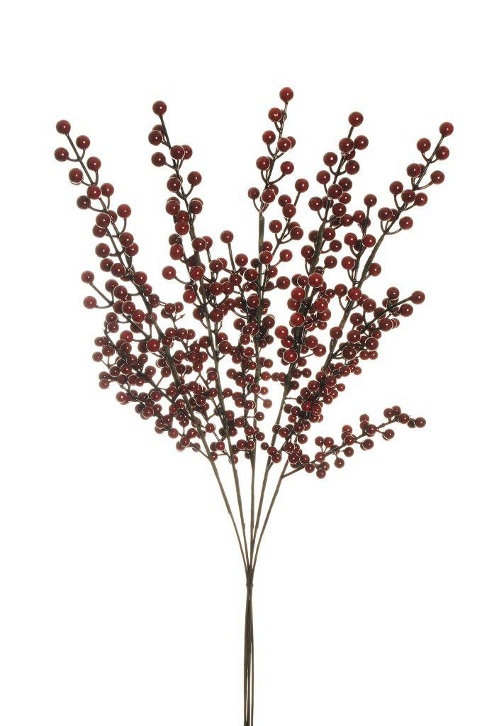 BACCHE ILEX BUNDLE 5X CM.74,5 BORDEAUX BACCHE ILEX BUNDLE 5X CM.74,5 BORDEAUX