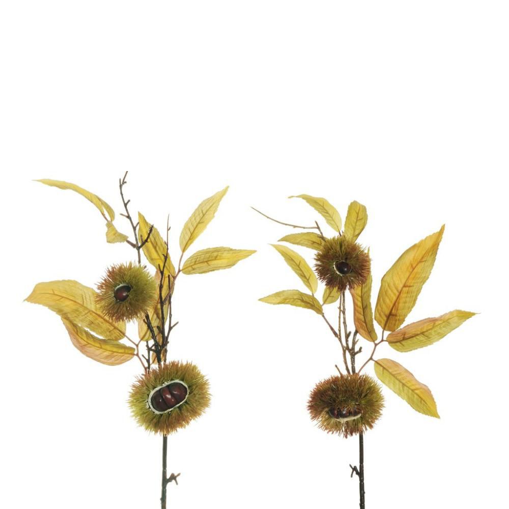 SET 2 CASTAGNI RAMO CM.62 MARRONE SET 2 CASTAGNI RAMO CM.62 MARRONE