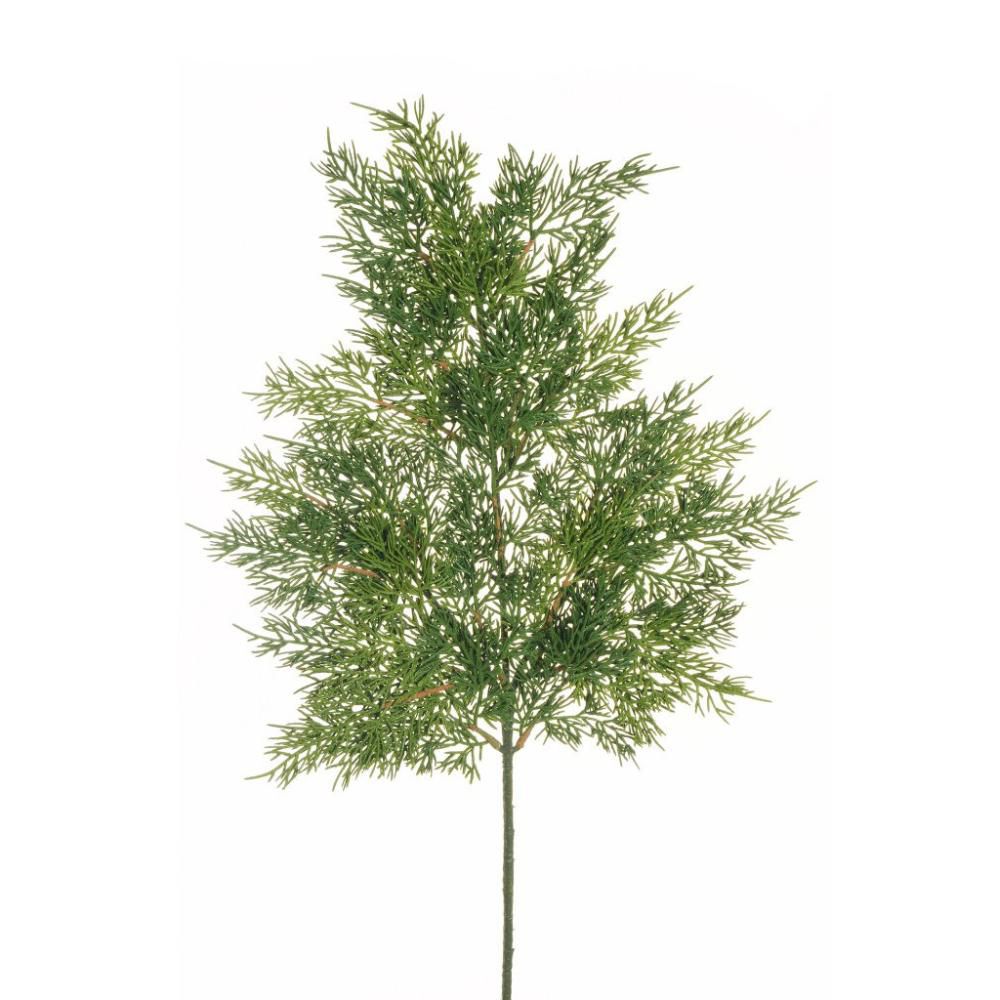 THUJA RAMO SPRAY C/PIGNE CM.65 VERDE