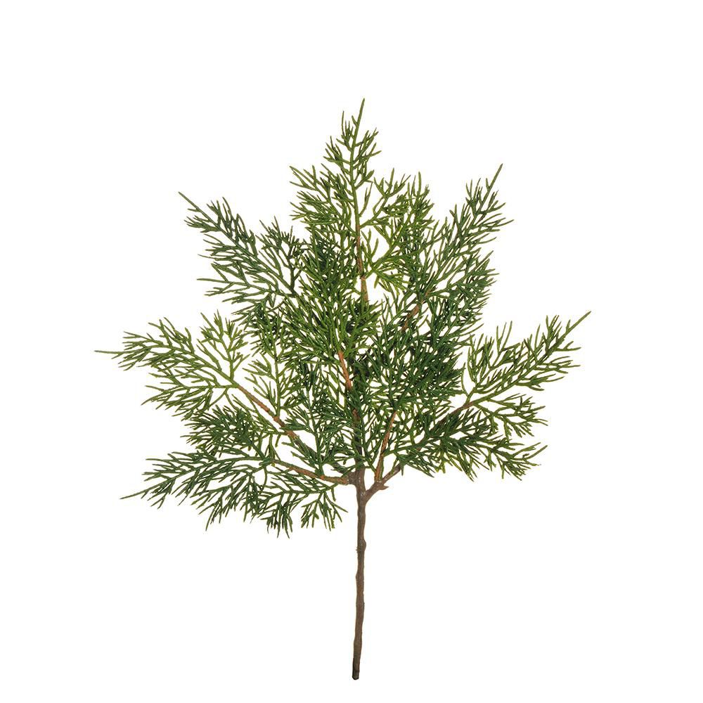 THUJA RAMO SPRAY C/PIGNE CM.41 VERDE
