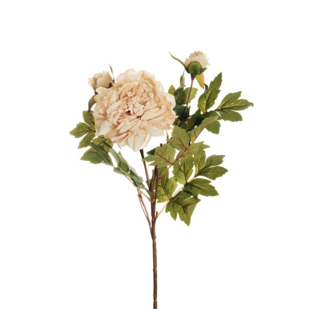 PEONIA SPRAY 2X CM.64 CREMA