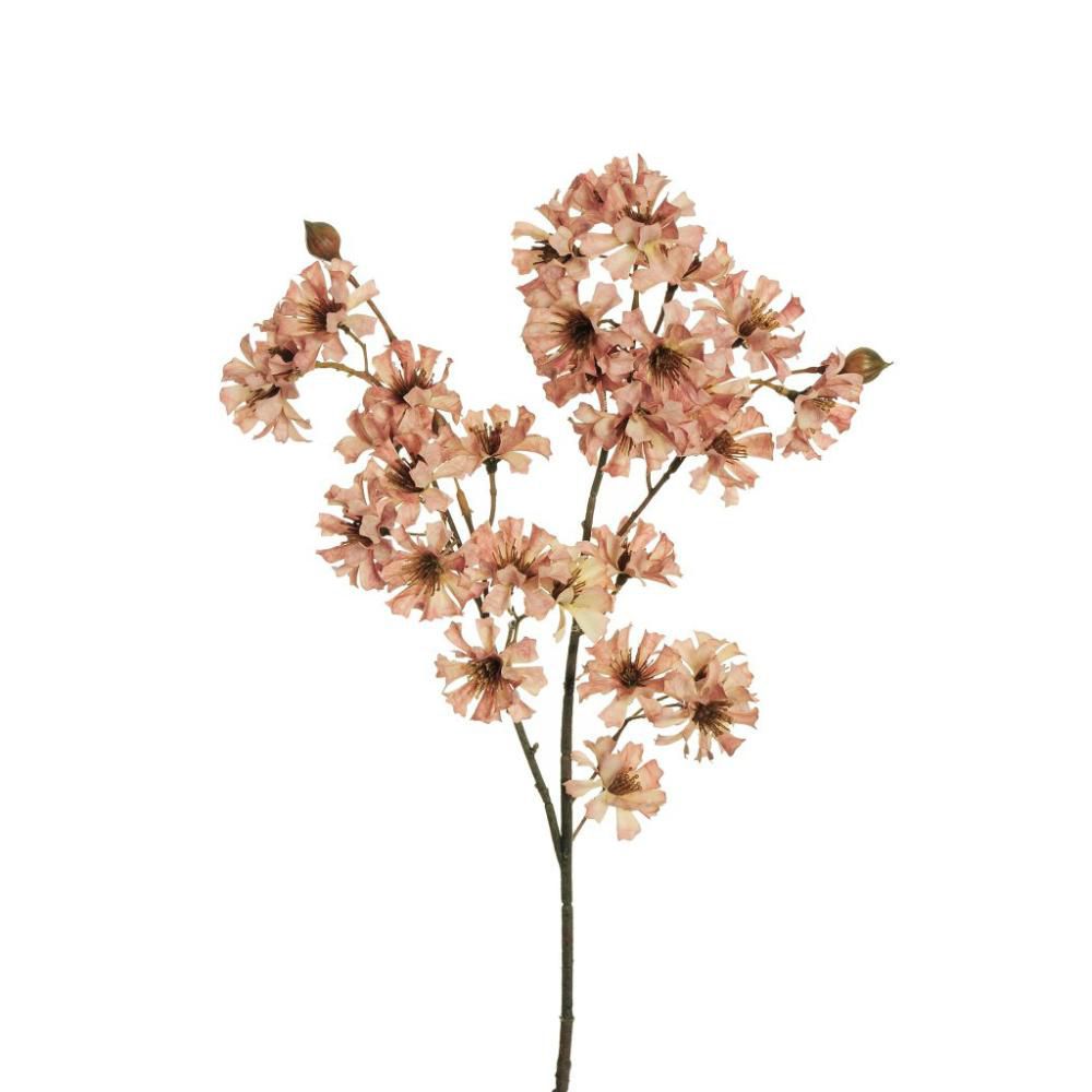 COREOPSIS SPRAY 7X CM.78 ROSA
