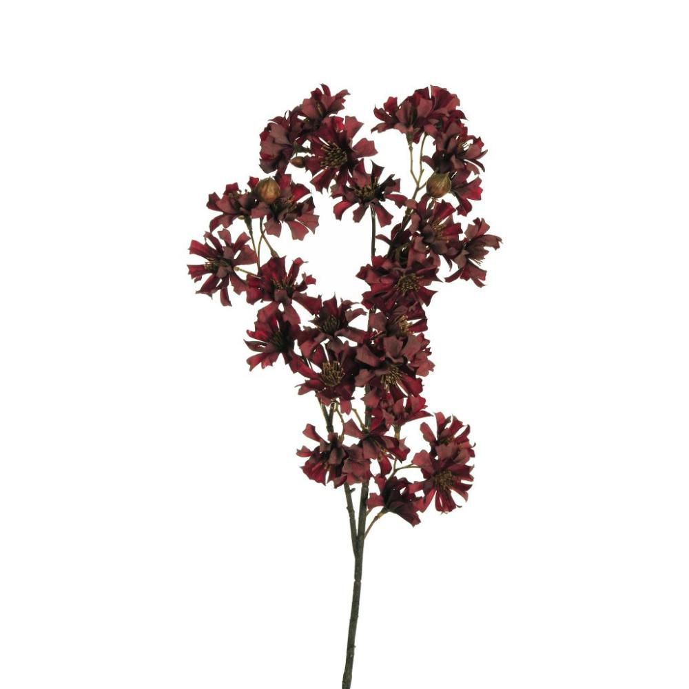 COREOPSIS SPRAY 7X CM.78 BURGUNDY COREOPSIS SPRAY 7X CM.78 BURGUNDY