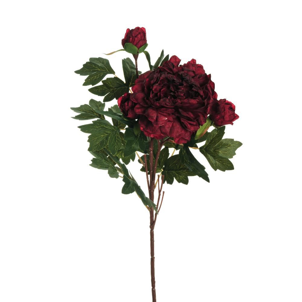 PEONIA SPRAY 2X CM.64 BURGUNDY PEONIA SPRAY 2X CM.64 BURGUNDY