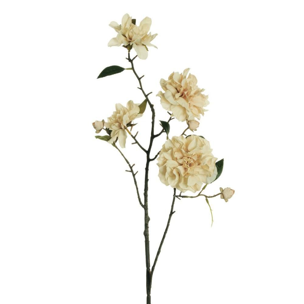 CAMELIA RAMO 2X 5F CM.95 CREMA CAMELIA RAMO 2X 5F CM.95 CREMA