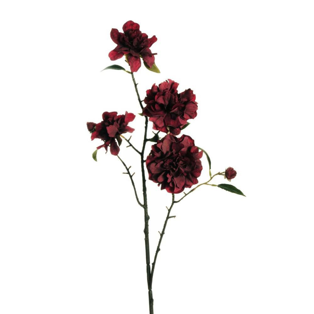 CAMELIA RAMO 2X 5F CM.95 BURGUNDY CAMELIA RAMO 2X 5F CM.95 BURGUNDY