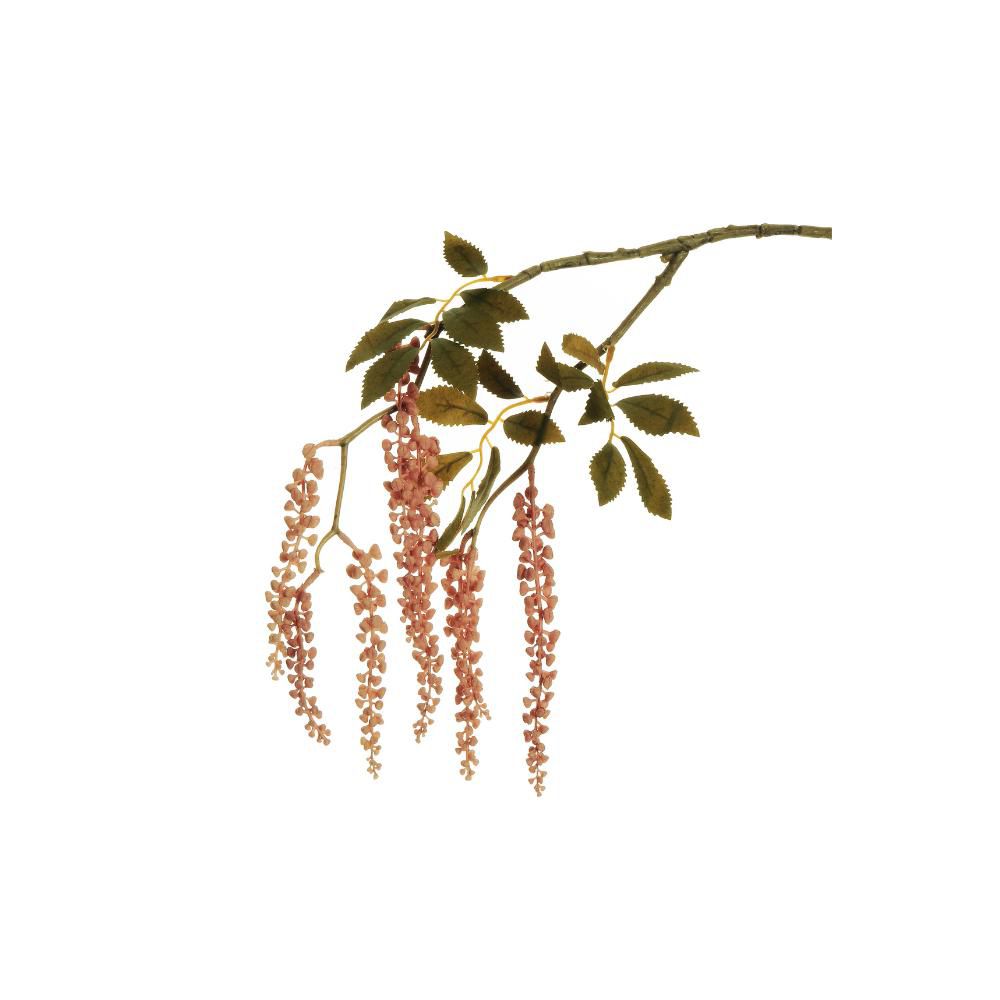 PHYTOLACCA CADENTE 2X CM.75 ROSA