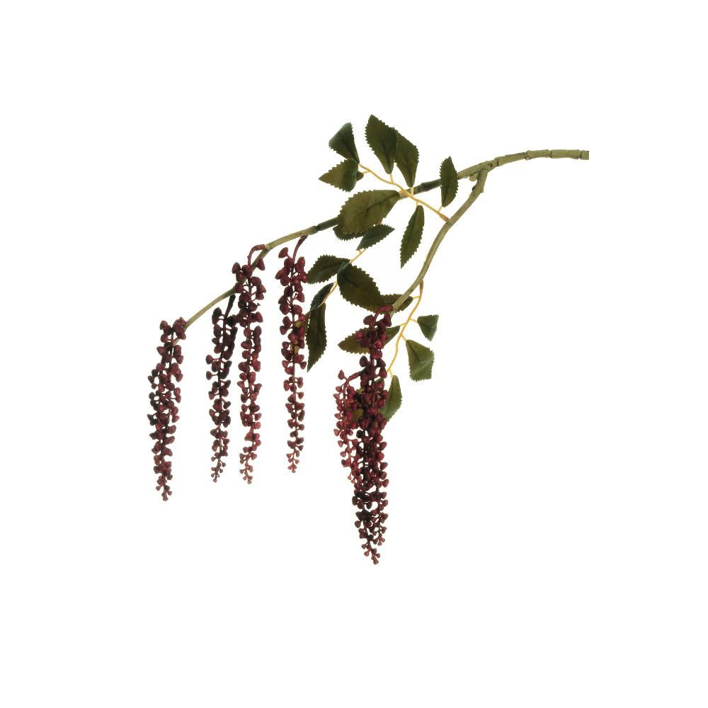 PHYTOLACCA CADENTE 2X CM.75 BURGUNDY