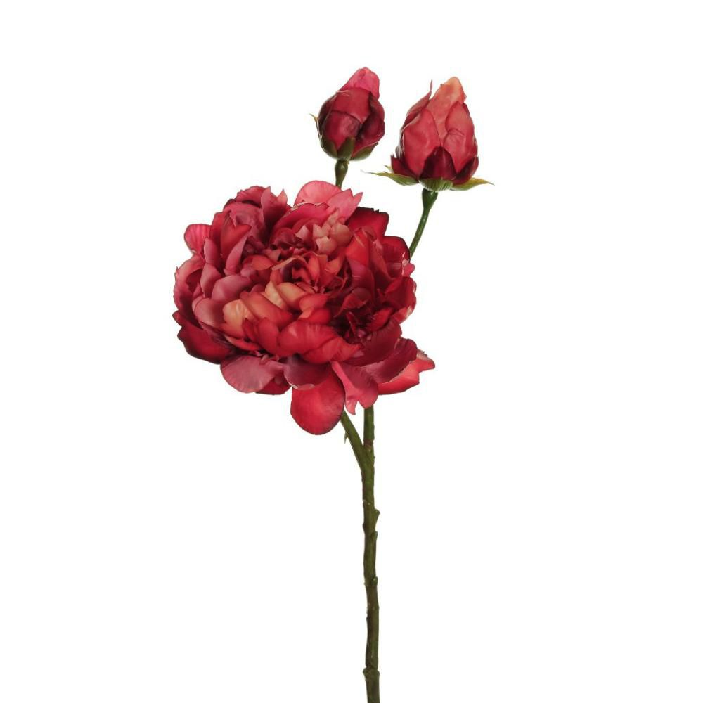 PEONIA SPRAY 3X 1F+2B CM.60 FUCSIA SCURO PEONIA SPRAY 3X 1F+2B CM.60 FUCSIA SCURO