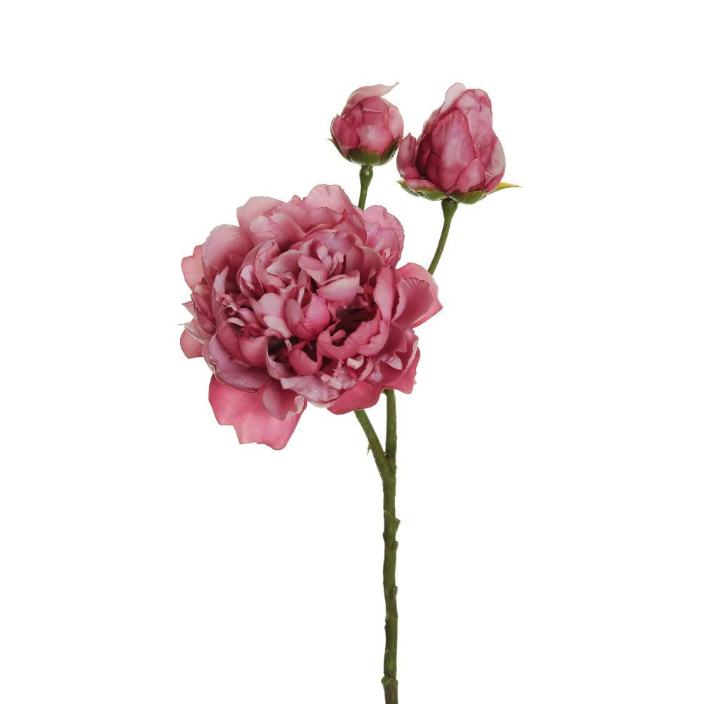 PEONIA SPRAY 3X 1F+2B CM.60 MALVA PEONIA SPRAY 3X 1F+2B CM.60 MALVA