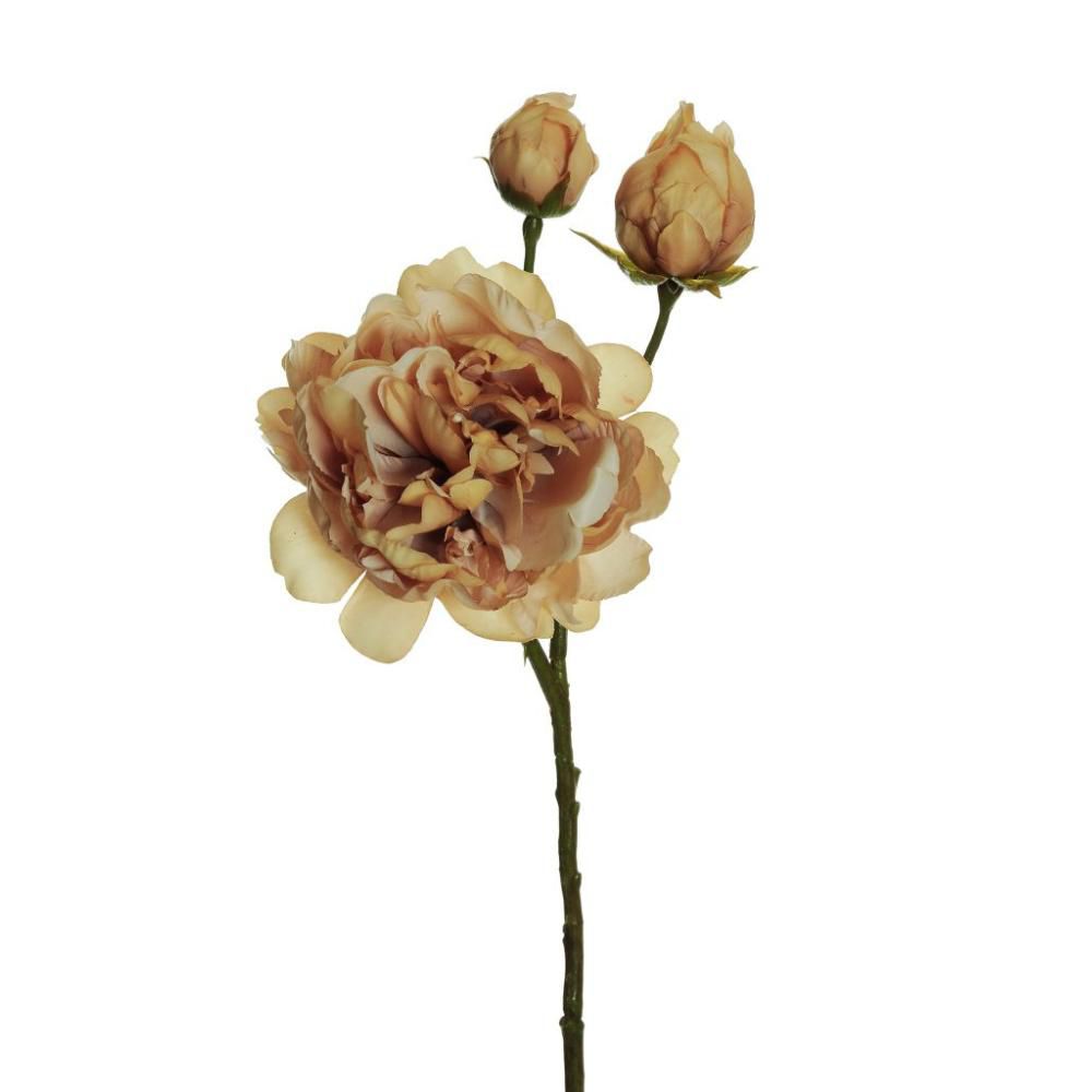 PEONIA SPRAY 3X 1F+2B CM.60 ECRU