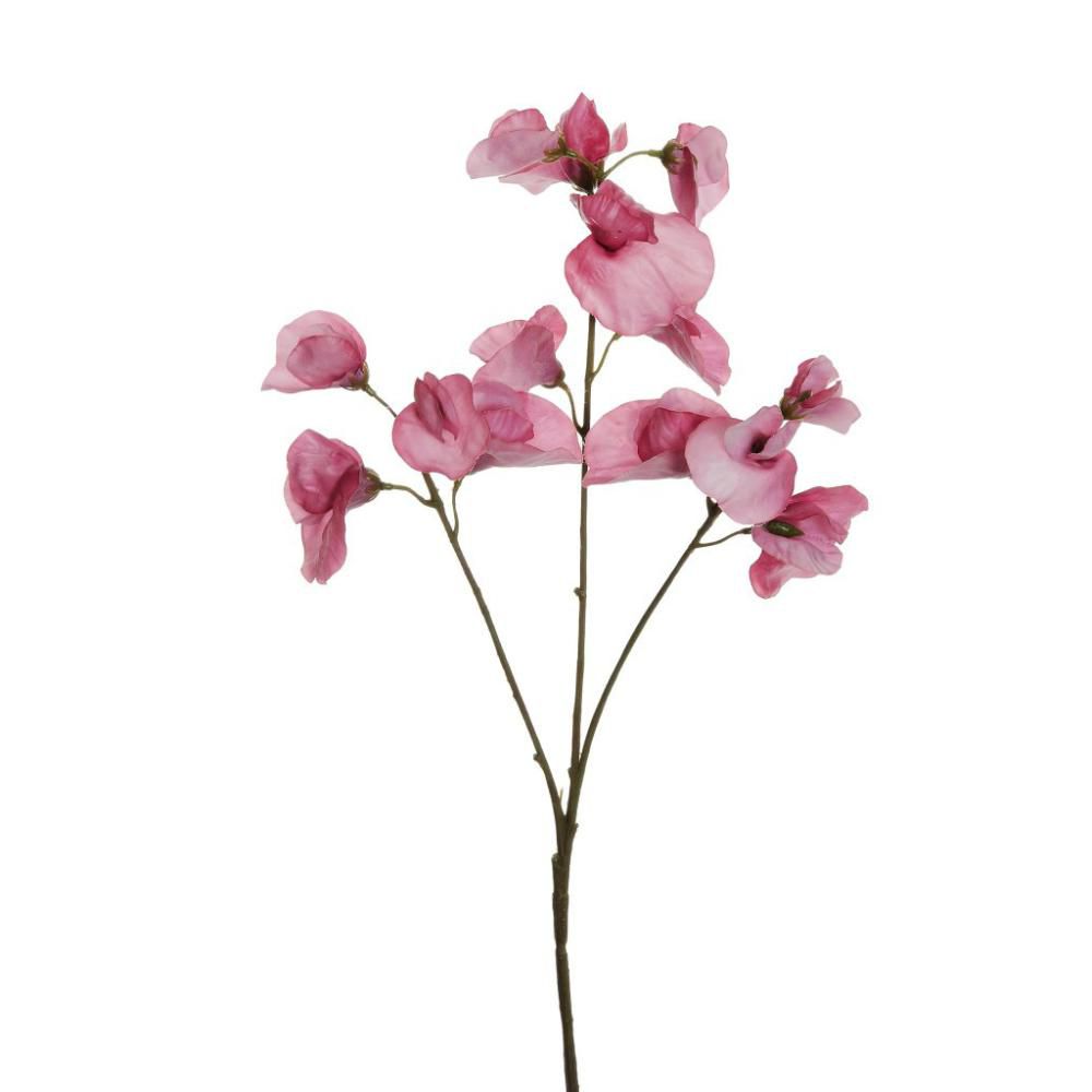 LATHYRUS SPRAY REAL TOUCH 3X CM.67 MALVA