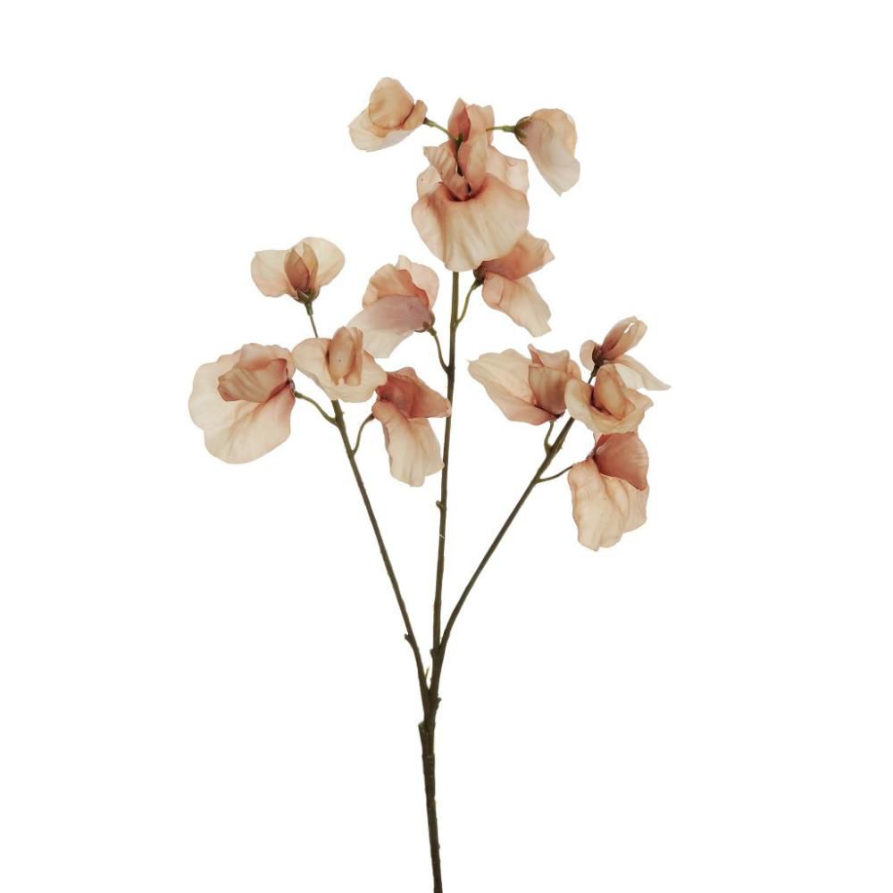 LATHYRUS SPRAY REAL TOUCH 3X CM.67 ECRU