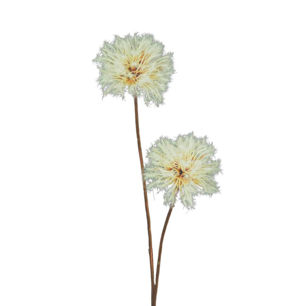 SOFFIONE-DANDELION 2X D.9 CM H.74 CM BIANCO SOFFIONE-DANDELION 2X D.9 CM H.74 CM BIANCO