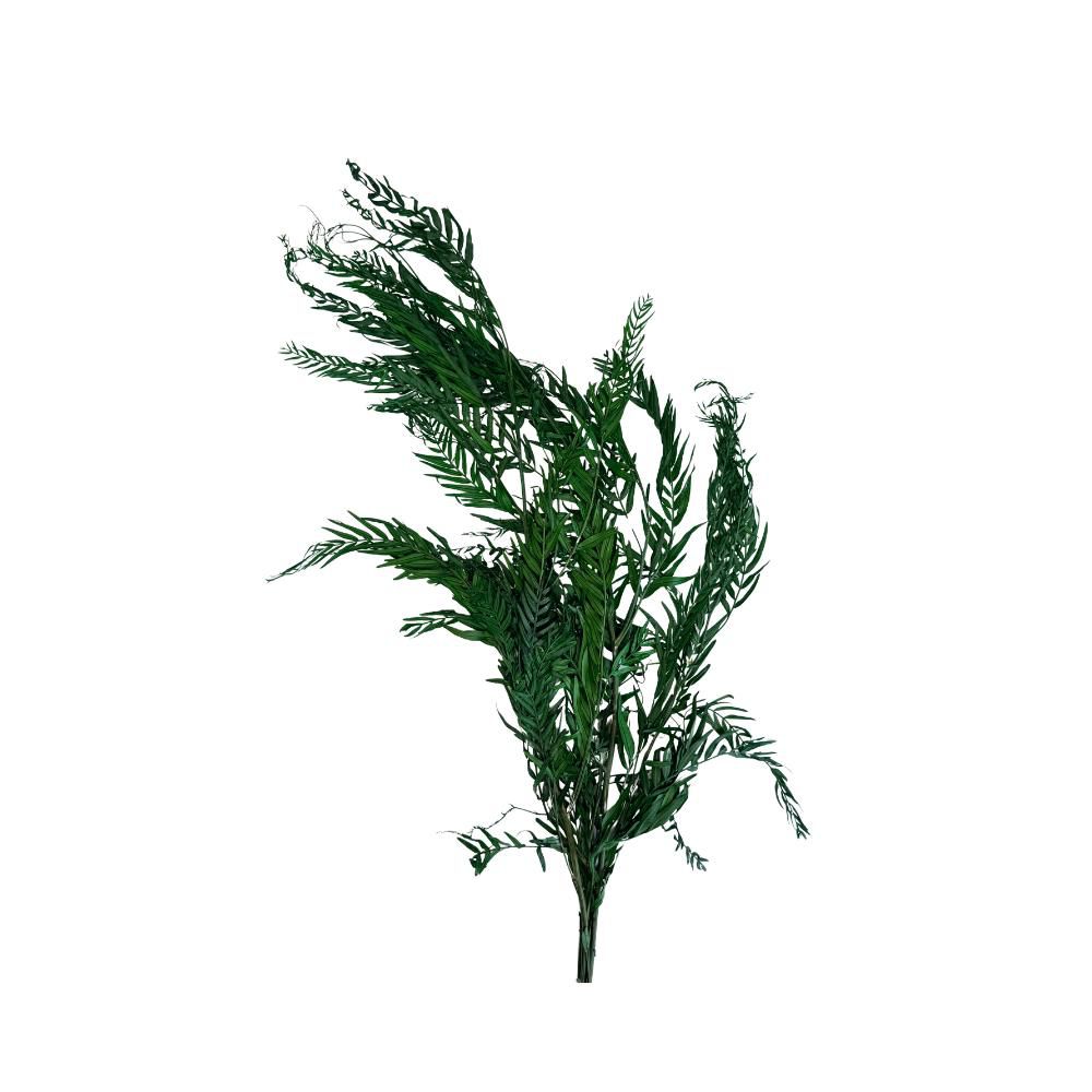 FALSO PEPE PRESERVATO GR.100 CM.75 VERDE