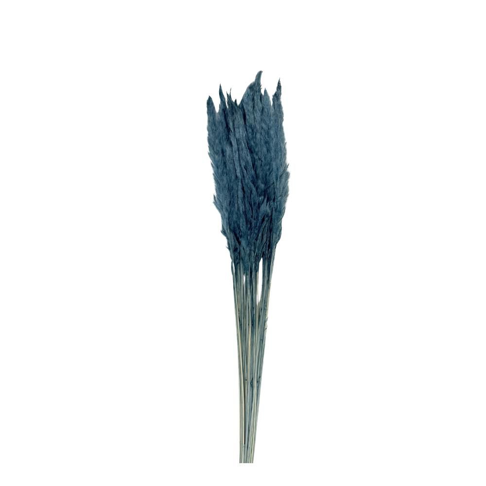 PAMPAS MINI 80 CM 20 PZPETROLIO