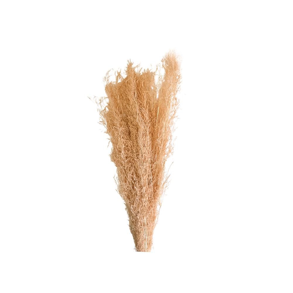 MUNNY GRASS GR.100 CM.60-70 CIPRIA MUNNY GRASS GR.100 CM.60-70 CIPRIA