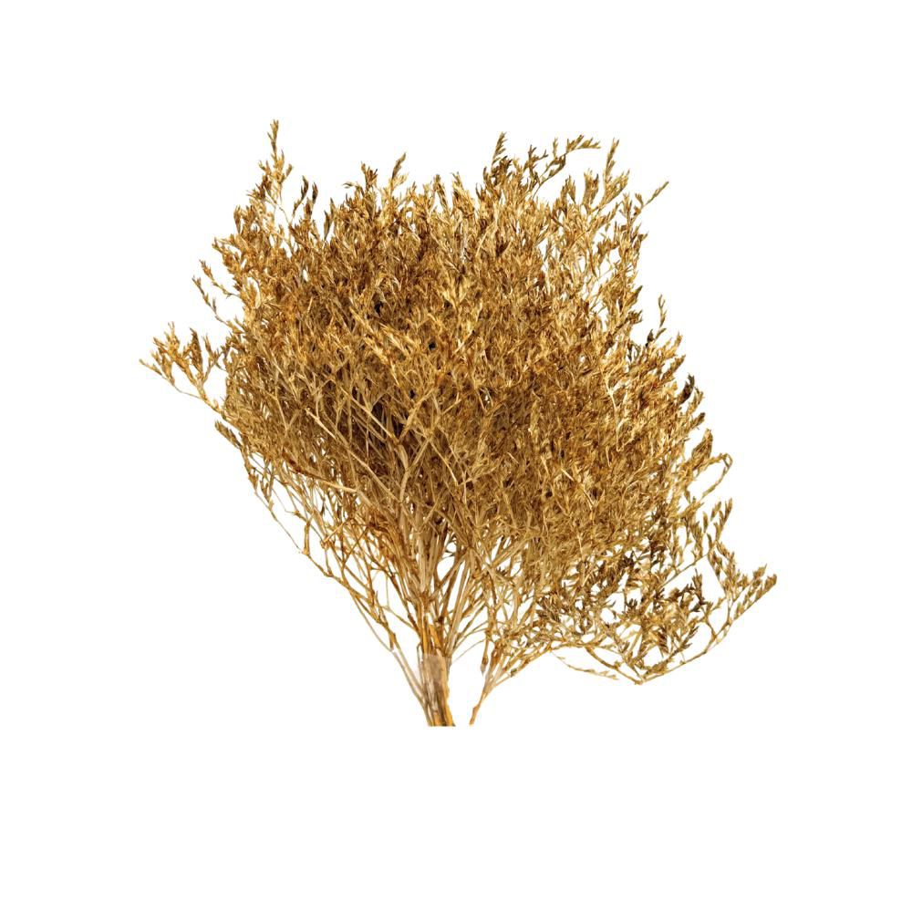 STATICE TARATARICA GR.100 CM.85-90 SENAPE